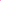 Treehouse Fisherman Shallow Fit Beanie - Hot Pink