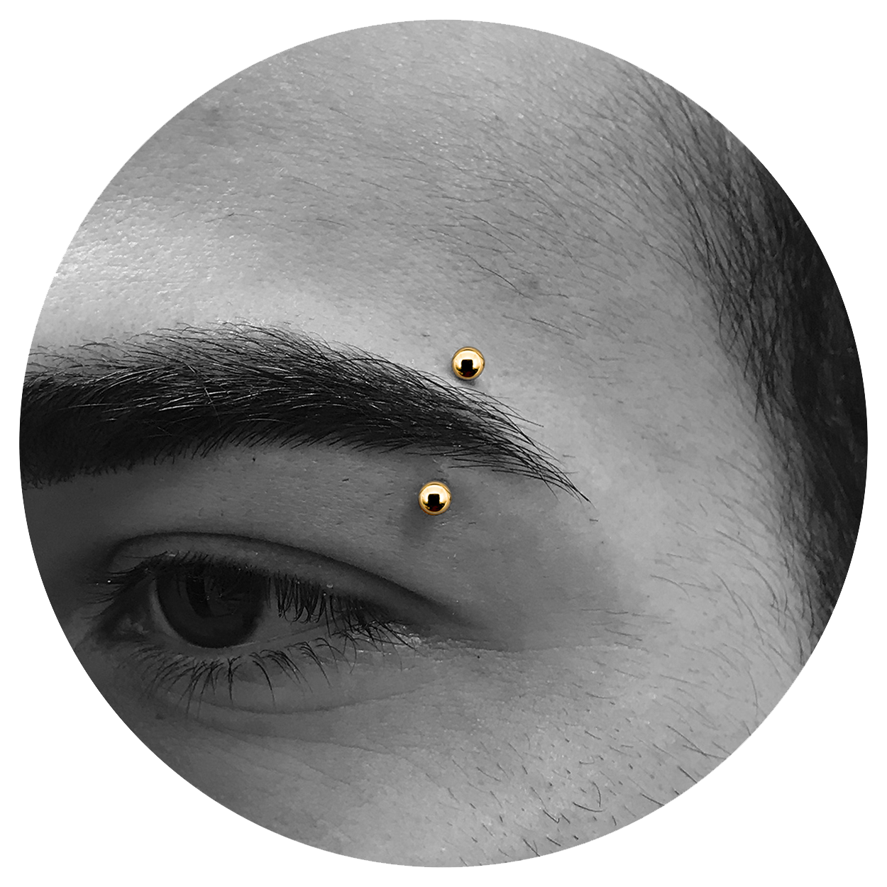 Eyebrow 2025 piercing shop