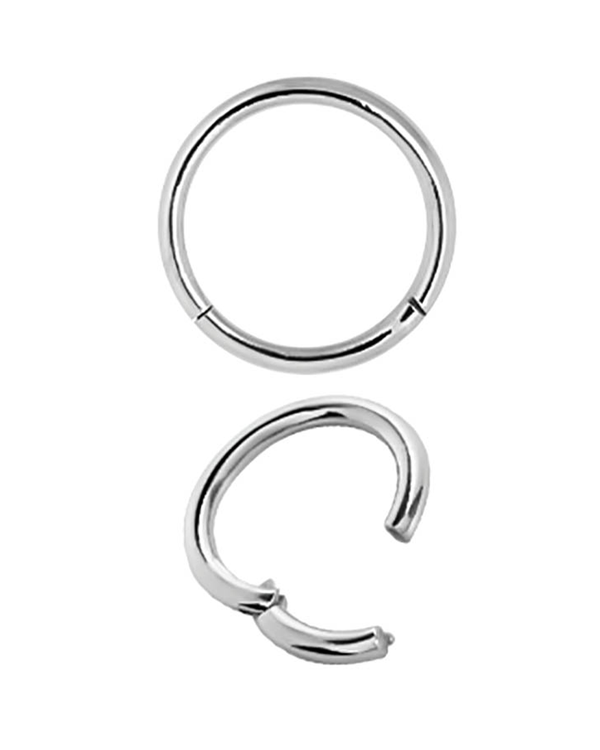 Silver Steel Hinged Segment Ring