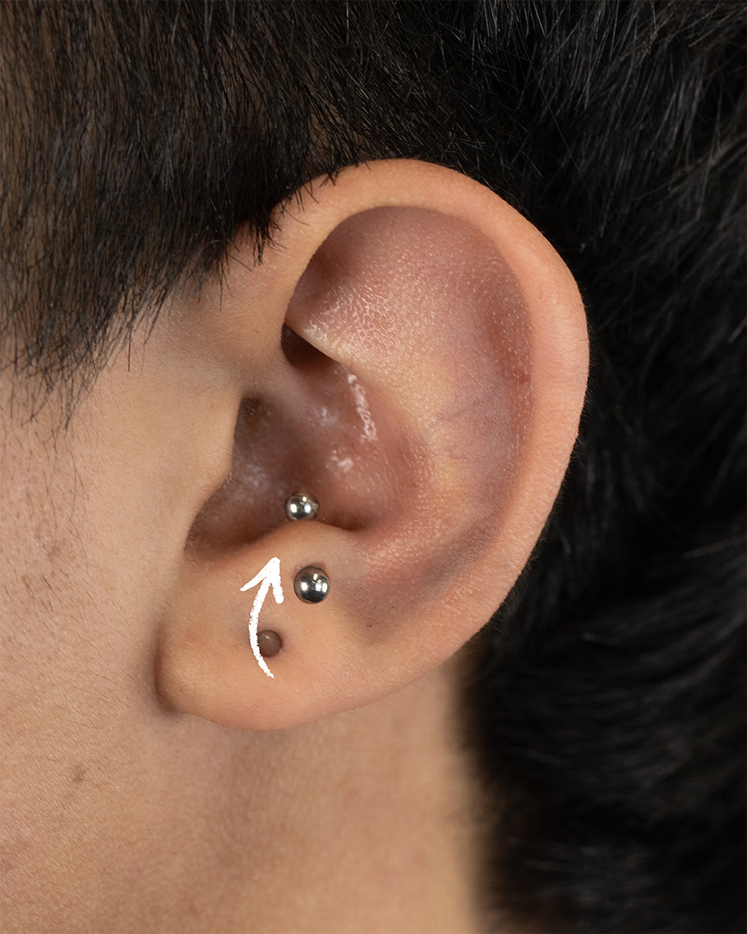 Anti-Tragus Piercings