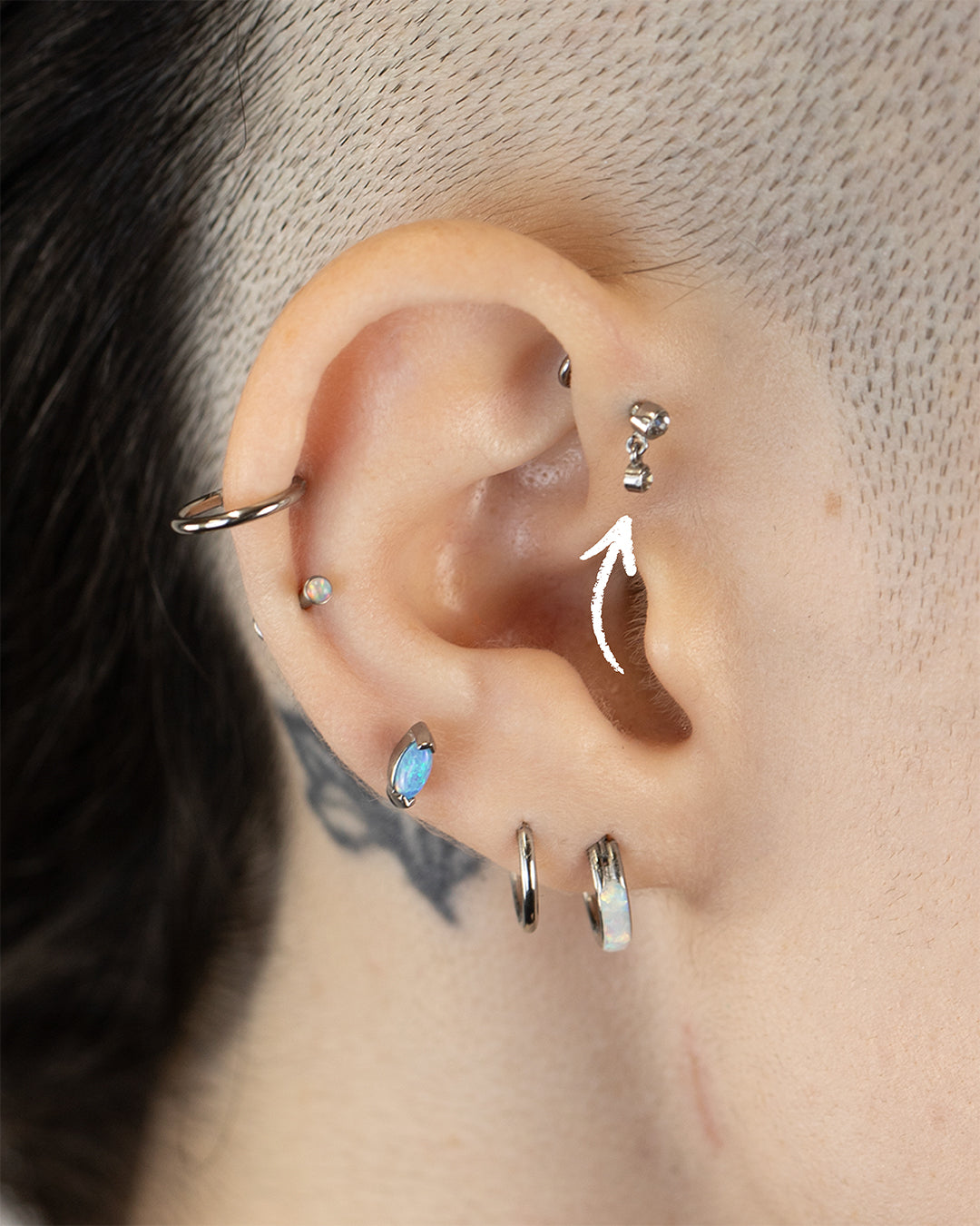 Forward Helix Piercings