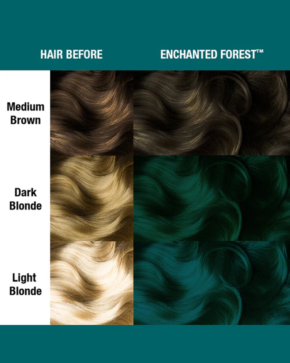 Enchanted Forest Cream