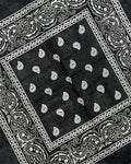 Black Paisley Bandana