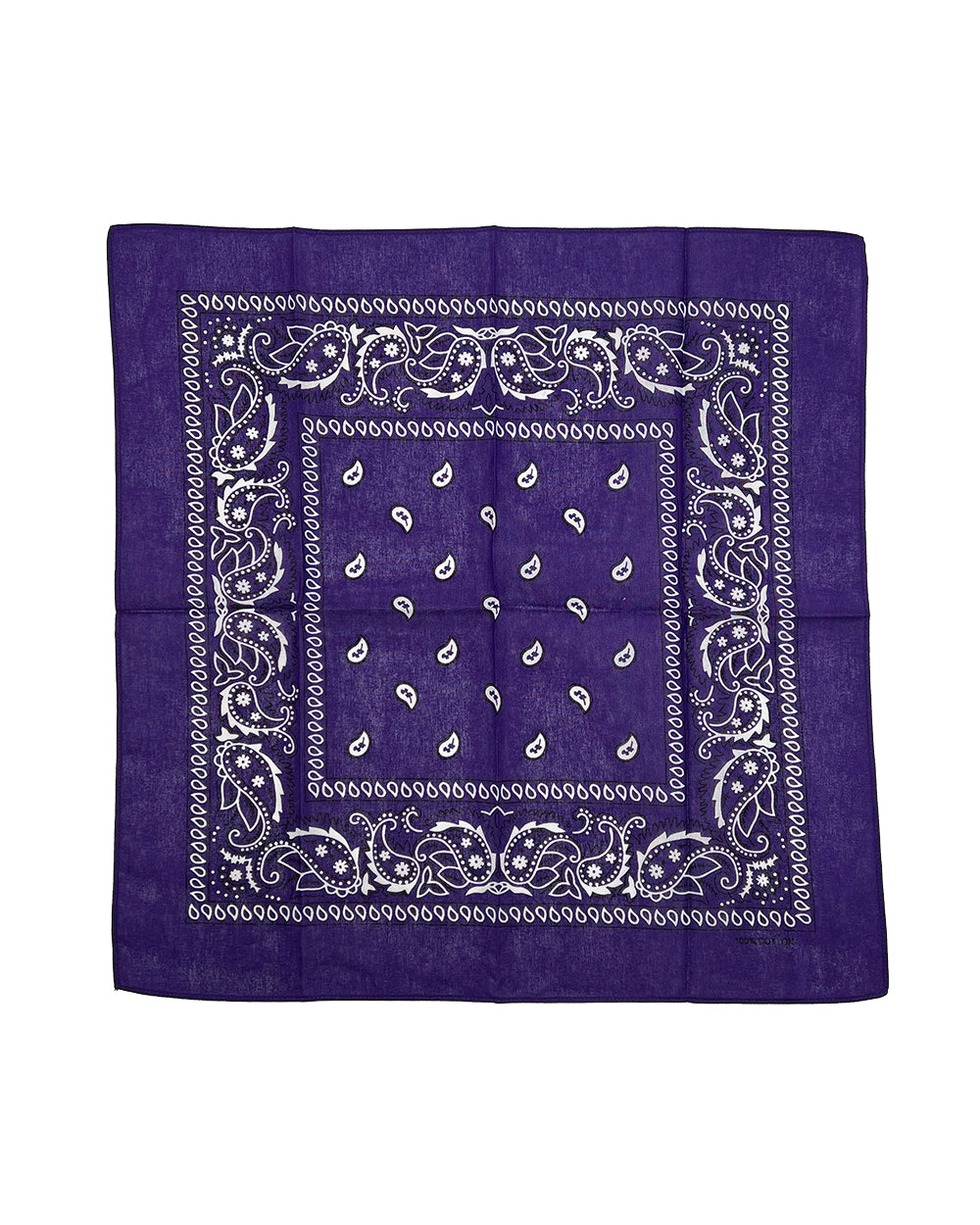 Purple Paisley Bandana