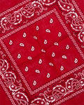 Red Paisley Bandana