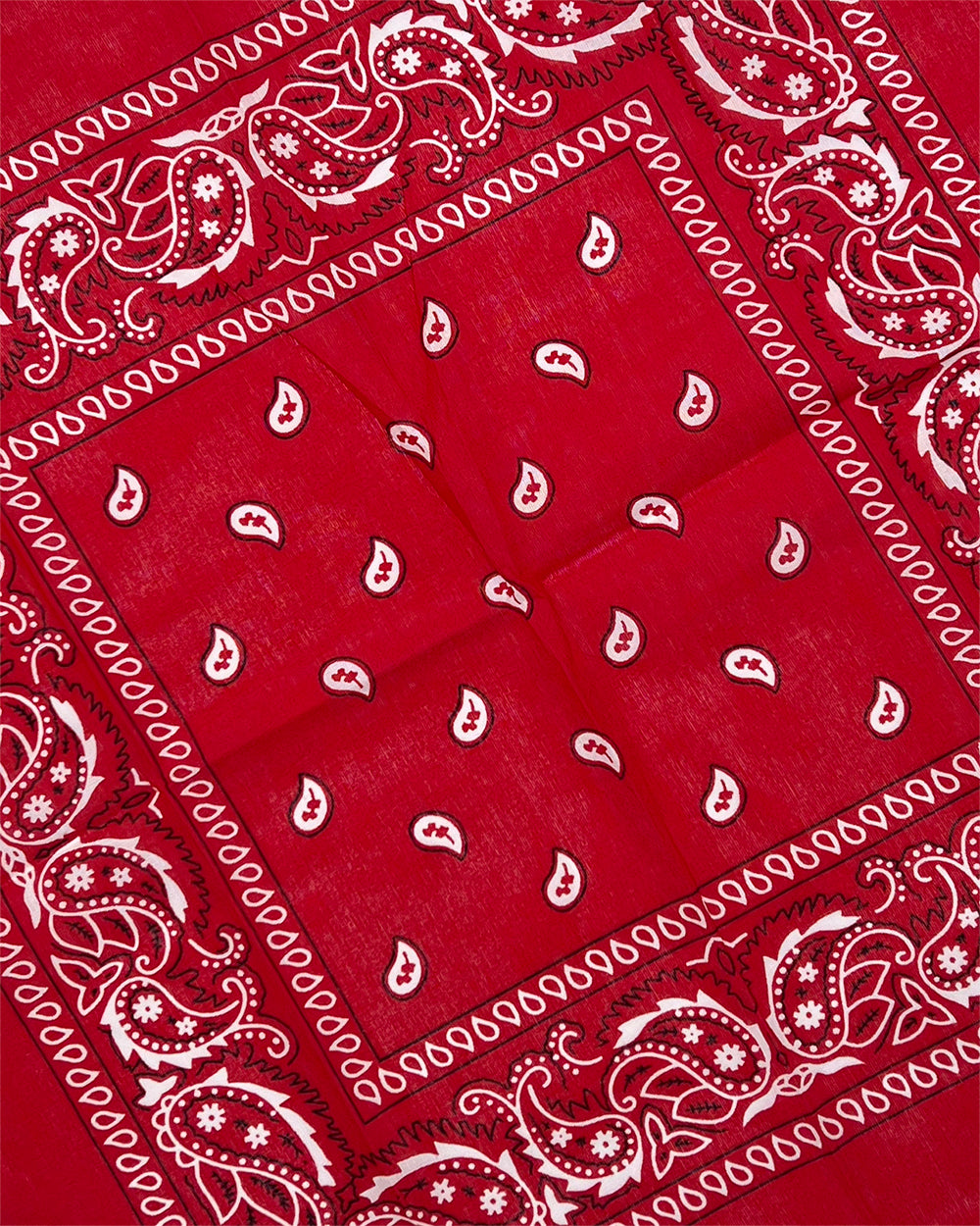 Red Paisley Bandana