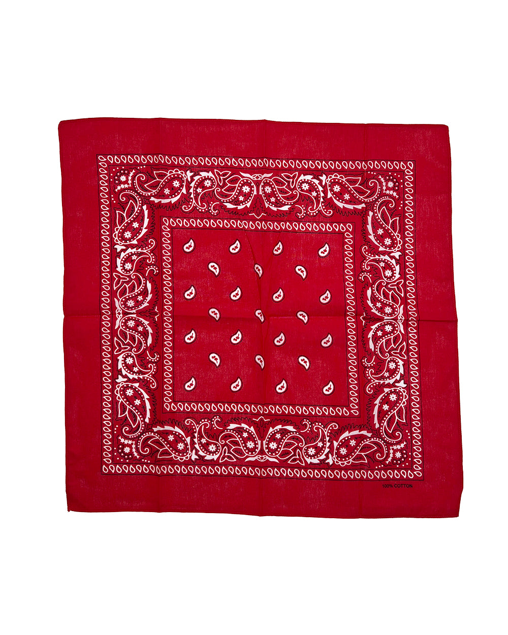 Red Paisley Bandana