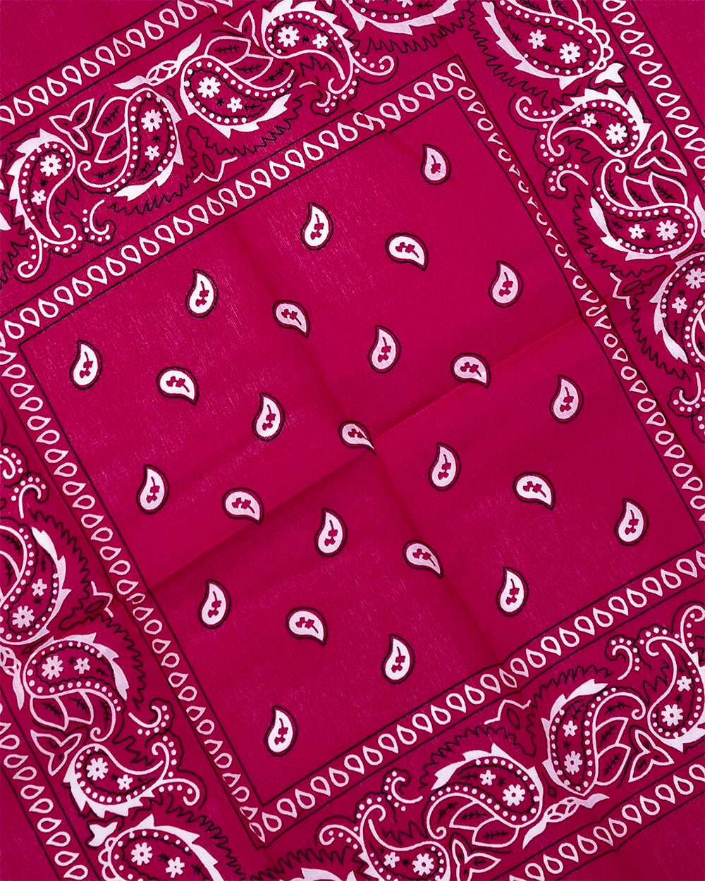 Dark Pink/ Magenta Paisley Bandana