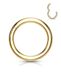 Gold Hinged Segment Ring Surgical Steel