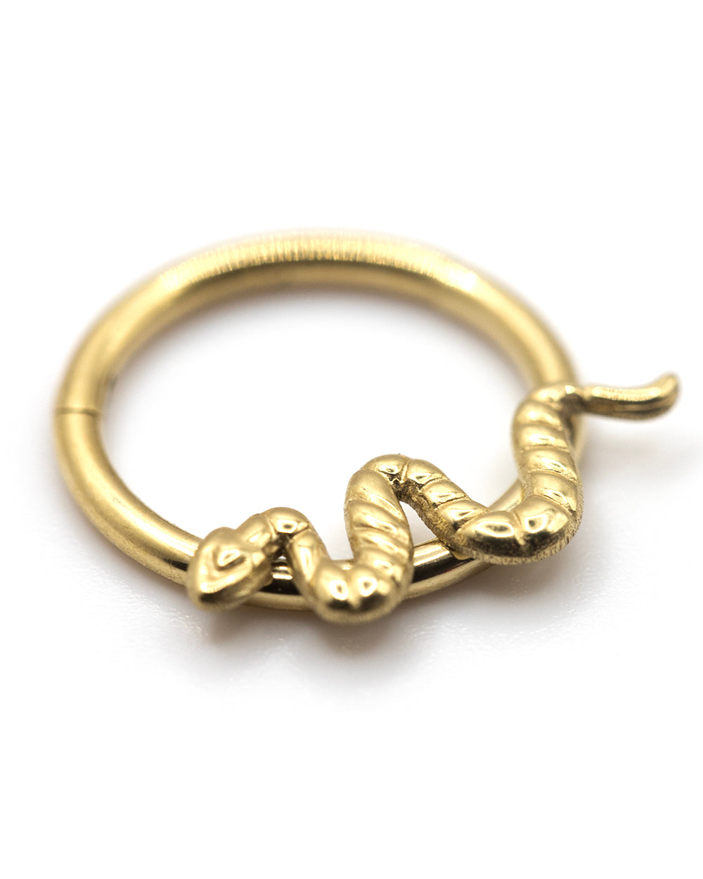 Snake Detail 14K Gold Coated Titanium Hinged Ring