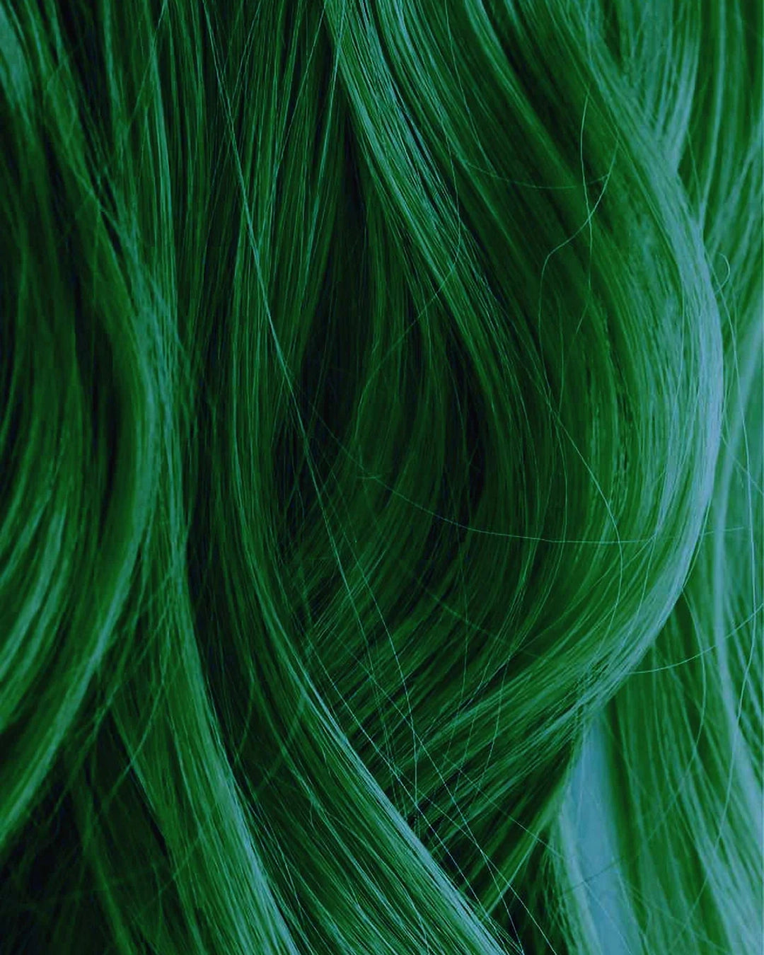 Iroiro Forest Green (113)