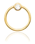 Sunlit Aura Titanium Hinged Ring