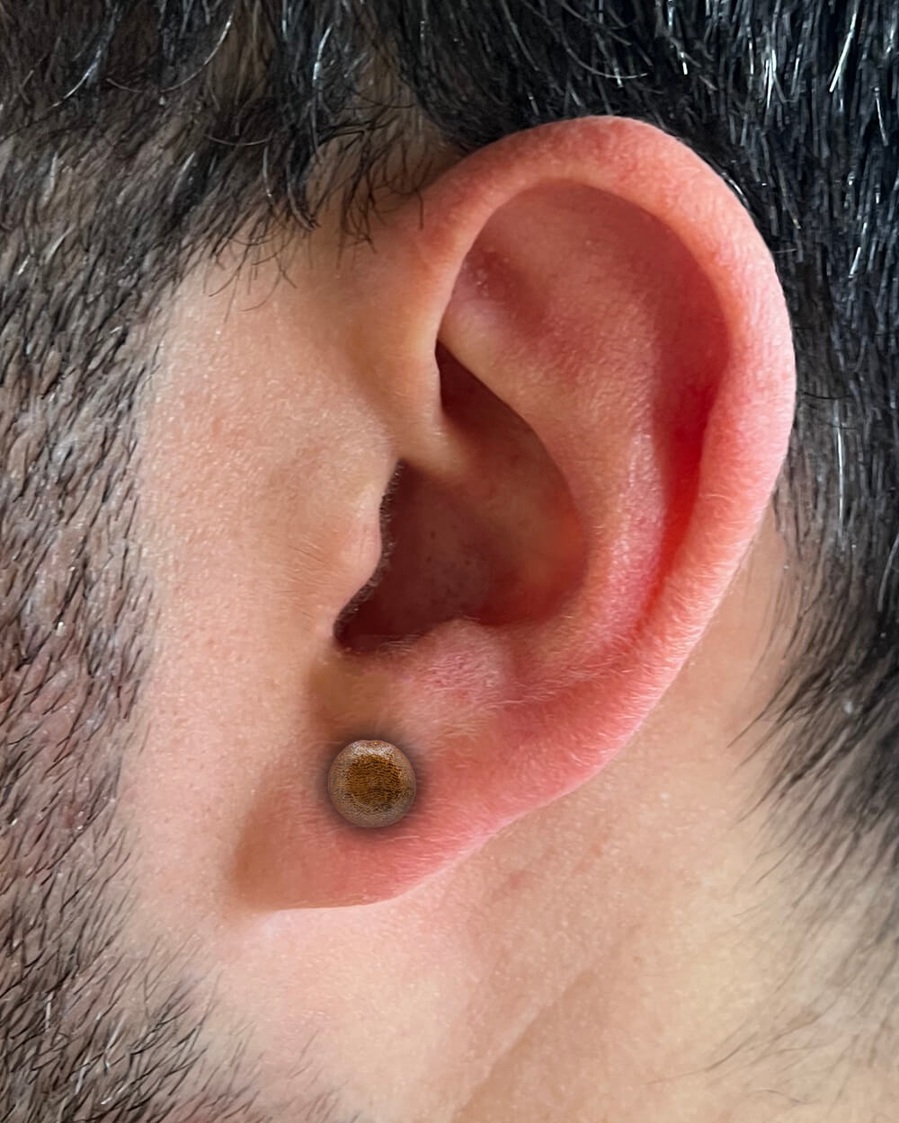 Jack Fruit Wooden Fake Plugs