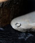 Titanium Hinged Ring with Diamonte Detail