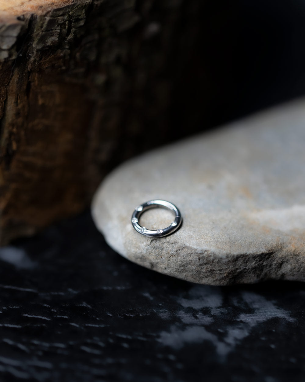 Titanium Hinged Ring with Diamonte Detail