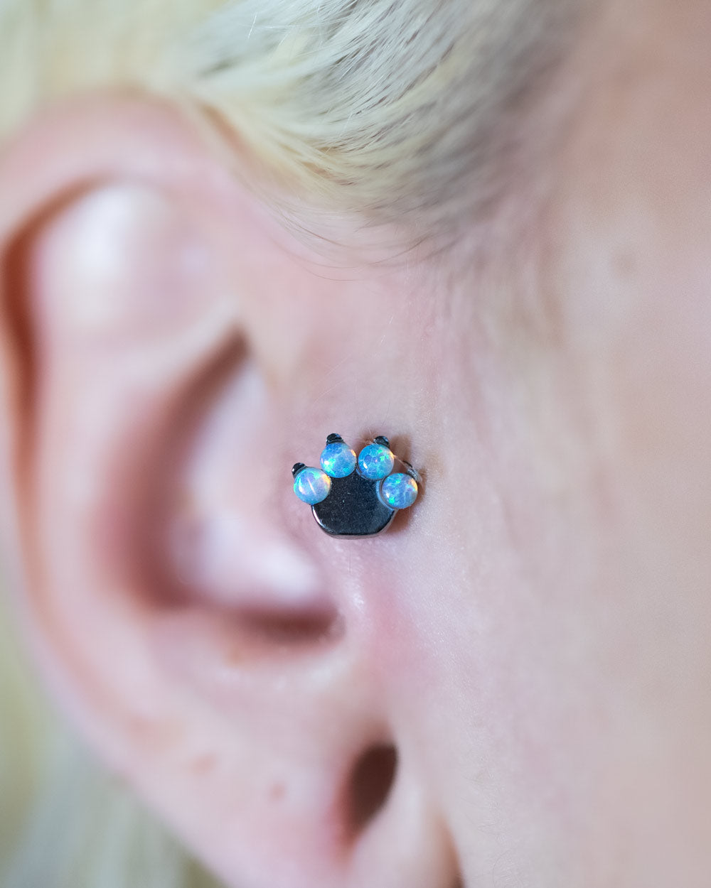 Titanium Internal Thread Opal Paw Labret Bar