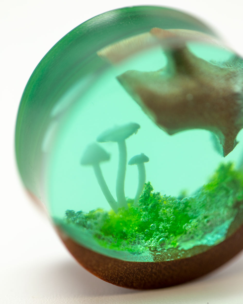Mystic Mushroom Epoxy Wood Plug