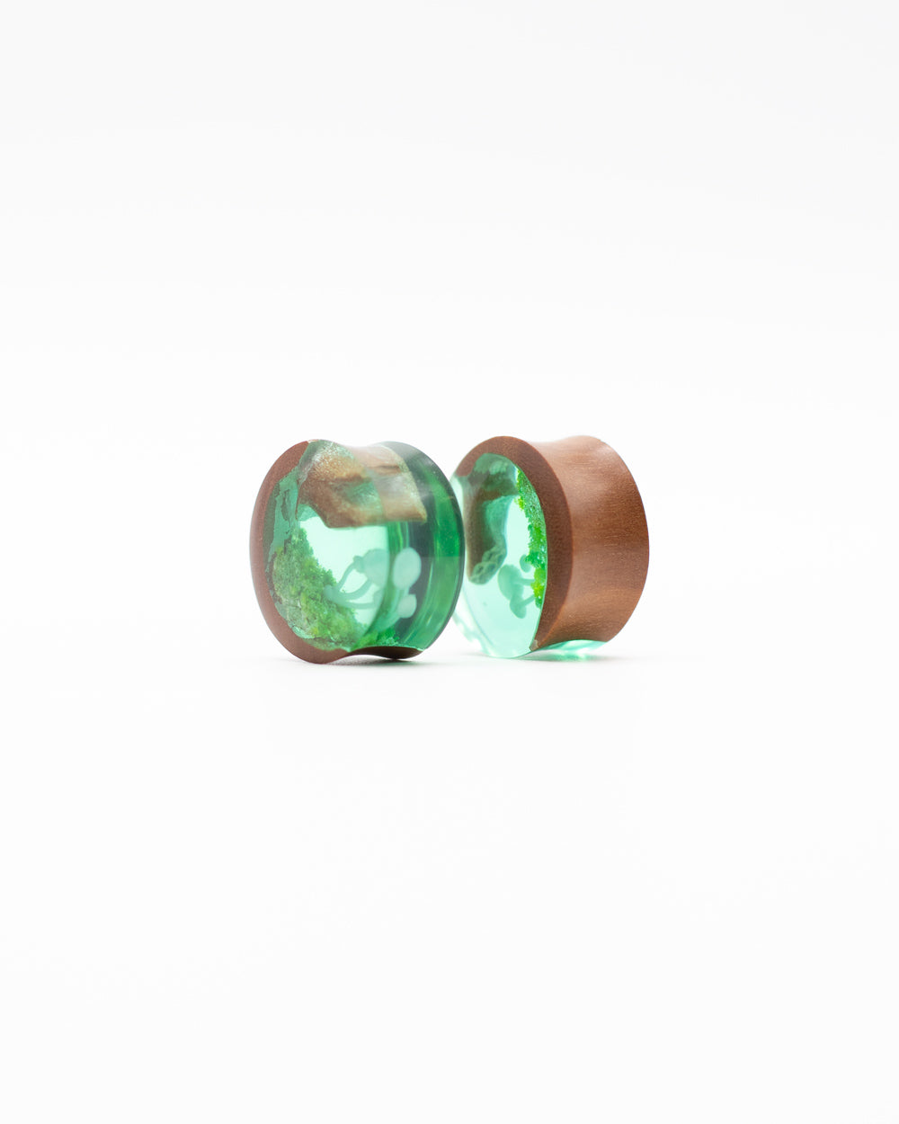 Mystic Mushroom Epoxy Wood Plug