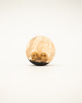 Skull Treasure Epoxy Plug